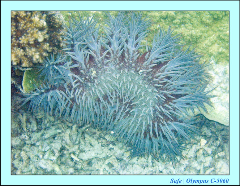 2008 - 07 - Leng Tengah - 092